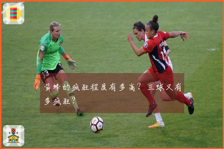 黄蜂的疯狂程度有多高？三球又有多疯狂？