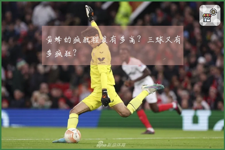 黄蜂的疯狂程度有多高?三球又有多疯狂?